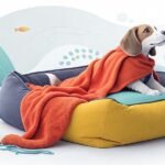 Extra Large Dog Beds That Your Furry Friend Will Love